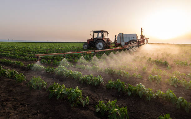 Pest Control Cost in Big Coppitt Key, FL