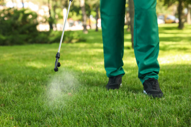 Best Wildlife Control Services  in Big Coppitt Key, FL