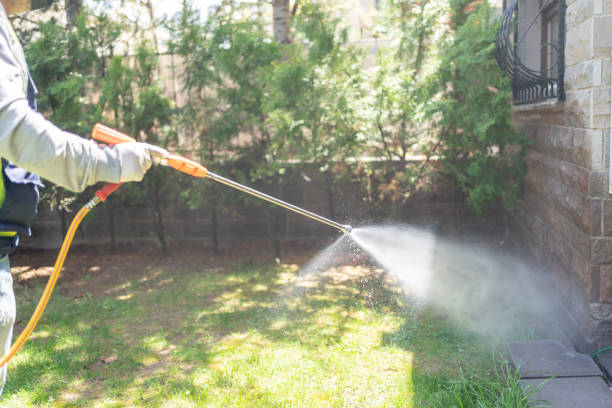 Pest Prevention Services in Big Coppitt Key, FL