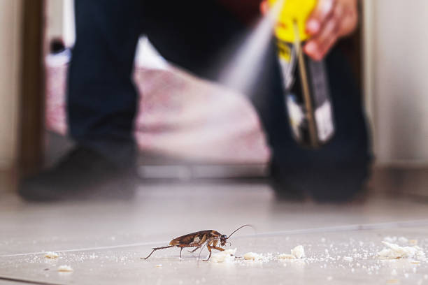 Best Residential Pest Control  in Big Coppitt Key, FL